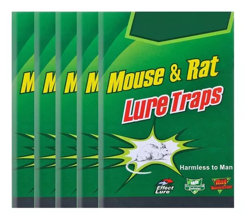 Set X5 Trampas Pegamento Raton